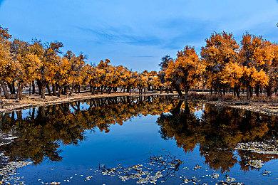 《使命召唤19》PlayStation平台首周销量440万份